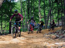 Massanutten Resort by TripForth，McGaheysville的小屋