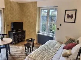 Le Mangin - Studio avec terrasse