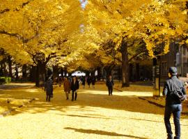 Alo BnB 6 - Near IKEBUKURO, SHINJUKU, UENO, AKIHABARA - Self check-in