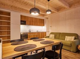 Mountain Apartments Klínovec Hexagon, hotel in Loučná pod Klínovcem