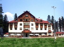 Ice Angels Hotel, hotel in Borovets