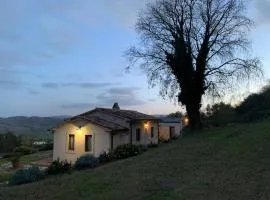 Il Nido del Falco nelle Antiche Mura