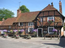 The Plume of Feathers, hotel in Farnham