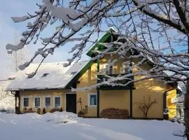 Landhaus HALLSTATT FEELING - Apartment - Self Check-in