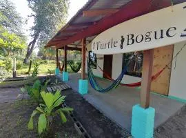 Casa turtle Bogue