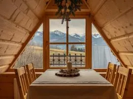 Apartamenty WILLA OLSZA wood house & mountain view & sauna
