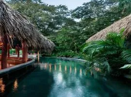 the SPACE Jungle Oasis