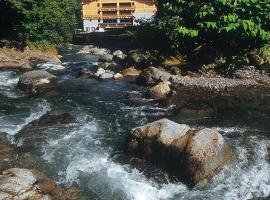 Tomuraushionsen Higashi Taisetsuso, hotel with parking in Shintoku