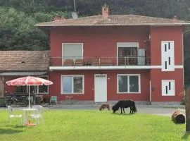 The Horse