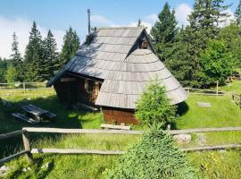 Chalet Gasparjeva Velika Planina، كوخ في كامنيك