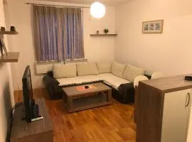 Kopaonik Foka Spa Brzeće