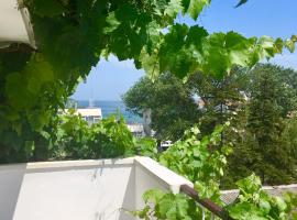 Guest House Barbov, hotel i Obzor