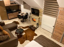 Studio Apartment Station Kopaonik,Milmari Resort