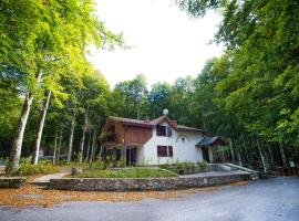 Chalet Il Cristallo-Monte Amiata，卡斯泰爾德爾皮亞諾馬克奈附近的飯店