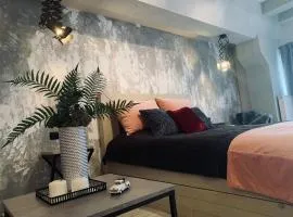 Studio lux Loft on Victory street in the City Center