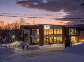 The Lodge Moiwa 834, capsule hotel in Niseko