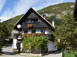 Hiša Planšar Bohinj accommodations，博希尼的B&B