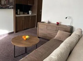 Teddy Apartman Kula Konaci