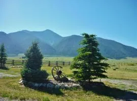 Cozy Immaculate Cabin - Peaceful Retreat!