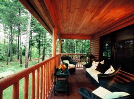 Upscale Fryeburg Cabin Hot Tub and Billiards Table!: Fryeburg şehrinde bir otel