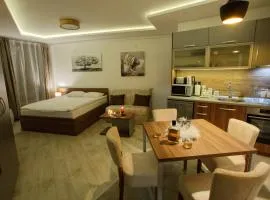 Apartman BIG Milmari S19