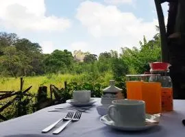 Sigiriya Palace View