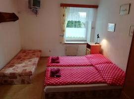 Penzion Rudolfovna, hostal o pensión en Železná Ruda