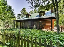 Black Mountain Cabin with Screened Porch and Views!