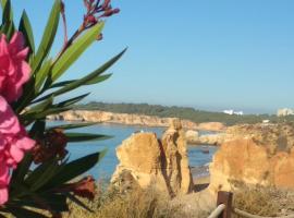 Albur Village B - Gerbera