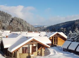 Rezydencja Leśny Dwór, bed and breakfast en Piwniczna-Zdrój