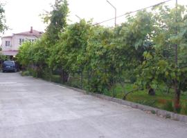 Guest House U Aleny, hotel with pools in Gagra