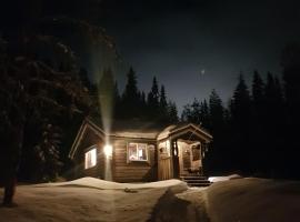 Liten timmerstuga i Sälen, καταφύγιο σε Sälen