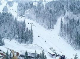 Guest house Sladjana, homestay in Jahorina