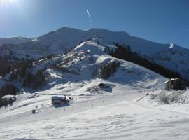 Giffre, hotell i nærheten av Damoiseaux skiheis i Samoëns