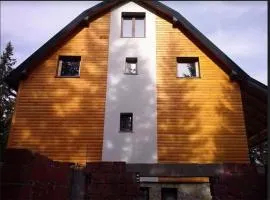 Jahorinska Planinska Vila