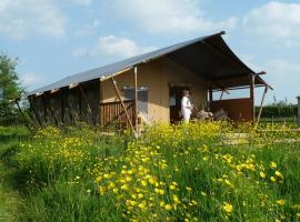 Tall Trees Glamping, lodge a Baltonsborough