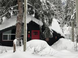 Swiss Cottage Ski and Summer Retreat, cabin in Salt Lake City