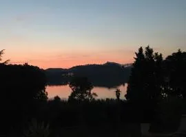 IL TUCANO