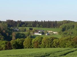 Ferienwohnung Eiernest, hotel cerca de Aeropuerto de Frankfurt - Hahn - HHN, 