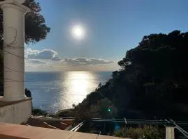 Regina di Capri - villa Occhio Marino -