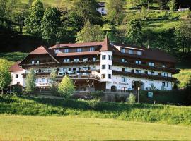 Hotel Restaurant Stigenwirth, hotel with parking in Krakauebene