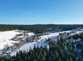 Ferienwohnungen Börnert am "Klingerbach", Hotel in Tellerhäuser