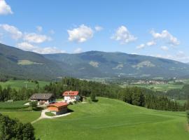 Zangerlechnhof, apartment in Brunico