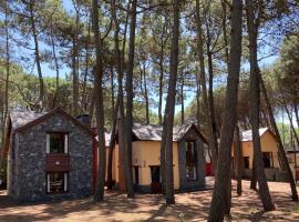 Complejo de Cabañas Tunquelen: Mar de las Pampas'ta bir orman evi