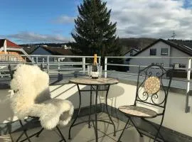 Attika Ferienwohnung in Freiburg -Gundelfingen mit großer Dachterrasse