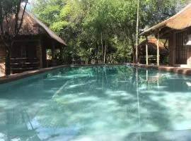Galago's Nest Bush Chalets