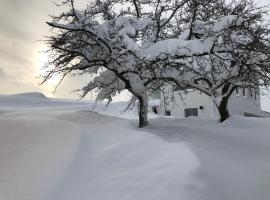 AllgäuLiebe, hotel cerca de Gerhaldelift, Oy-Mittelberg