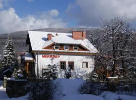 Pensjonat Merkury