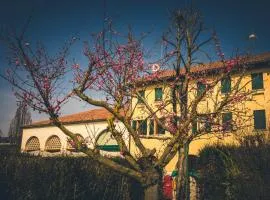 Le Vigne Morosina