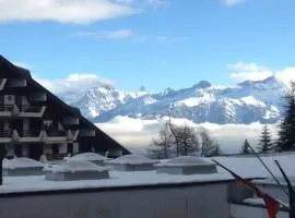 Alpine apartment in Swiss village of Torgon